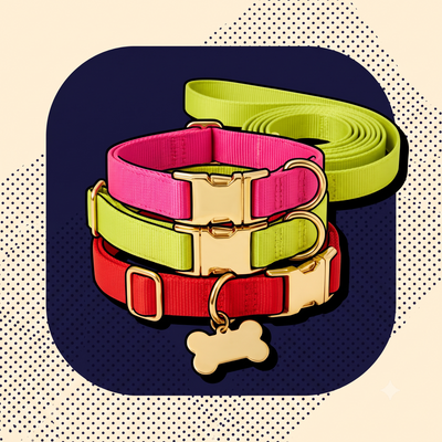 Collars,Leashes & Harnesses