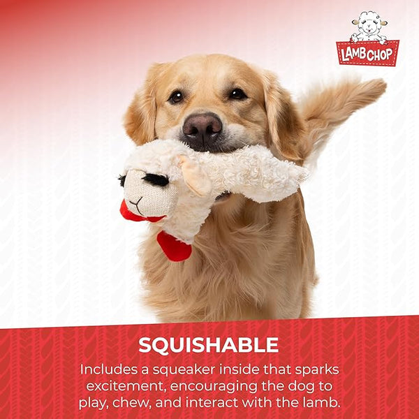 Multipet Lamb Chop 10" Plush Dog Toy – 5 Squeakers
