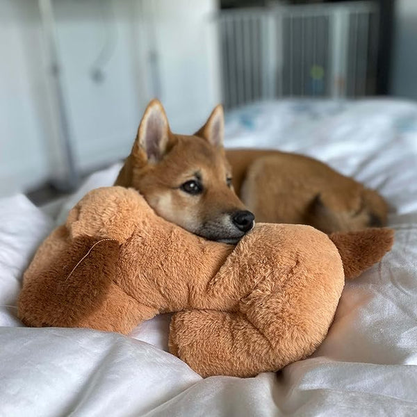 Snuggle Puppy Heartbeat Toy for Dogs