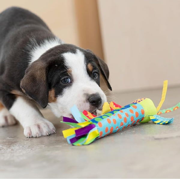 Petstages Cool Teething Stick – Freezable Puppy Chew Toy