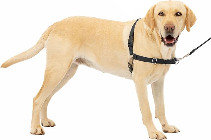 PetSafe Easy Walk No-Pull Dog Harness – Large, Black/Silver