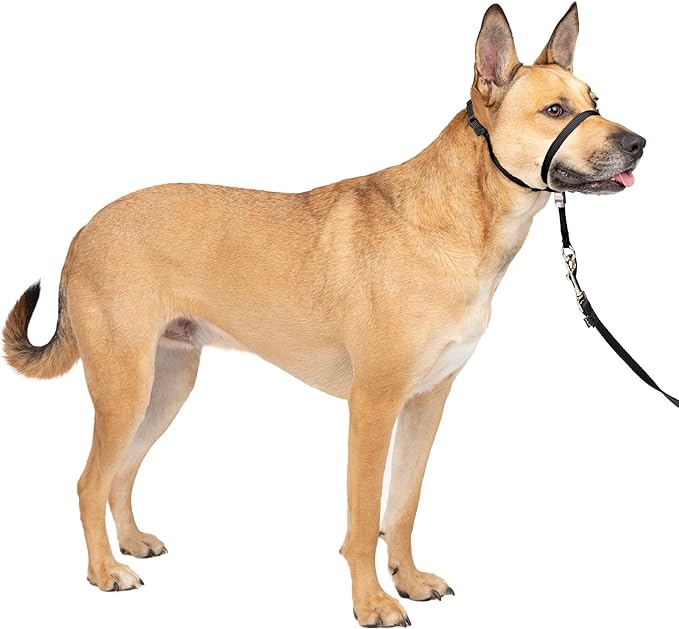 PetSafe Gentle Leader No-Pull Dog Head Collar - Medium