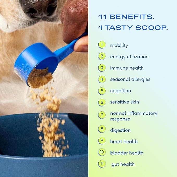 Native Pet 11-in-1 Multivitamin Powder for Dogs