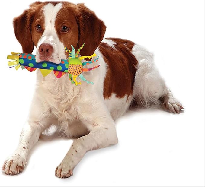 Petstages Cool Teething Stick – Freezable Puppy Chew Toy