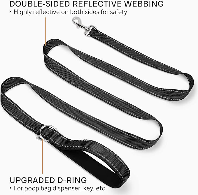 Reflective Nylon Dog Leash with Padded Handle