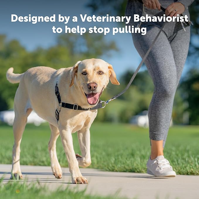 PetSafe Easy Walk No-Pull Dog Harness – Large, Black/Silver