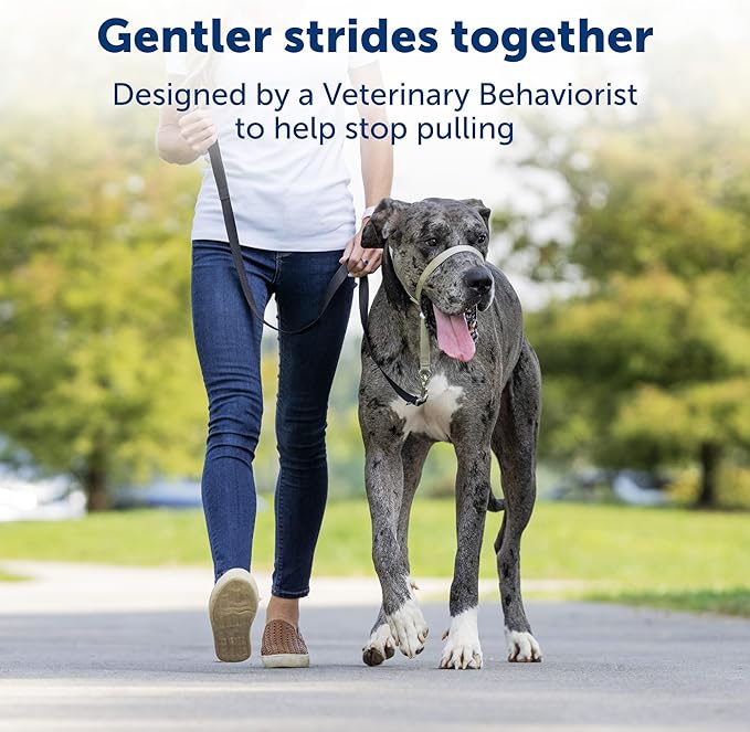 PetSafe Gentle Leader No-Pull Dog Head Collar - Medium