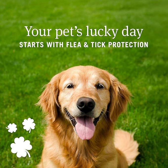 PetArmor Plus Flea & Tick Treatment for Small Dogs