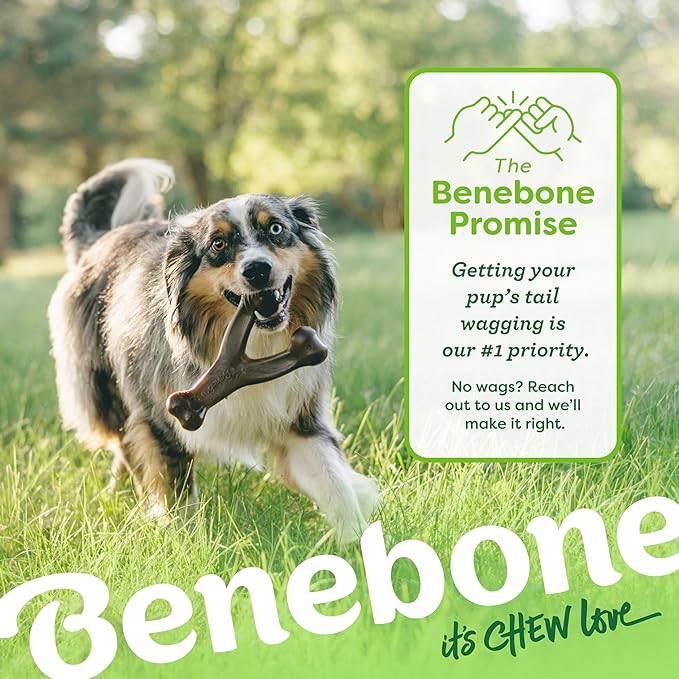 Benebone Wishbone Bacon Dog Chew, Medium Size