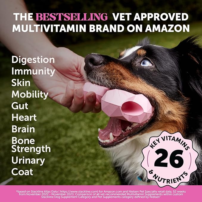 Pet Honesty Multivitamin Dog Supplement – 90 count