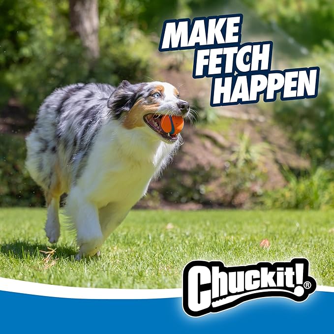 Chuckit! Ultra Ball Medium 2-Pack Rubber Fetch Toy