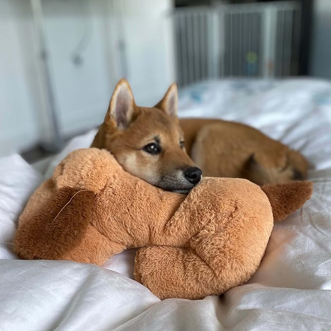 Snuggle Puppy Heartbeat Toy for Dogs