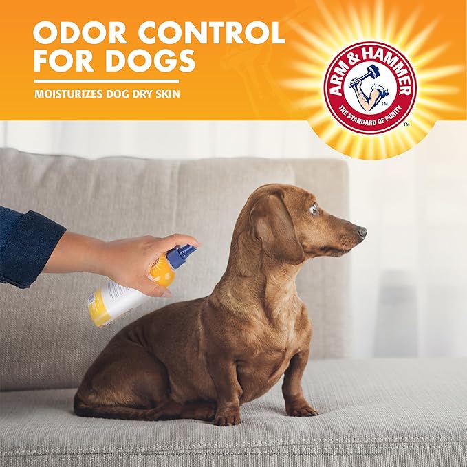 Arm & Hammer Super Deodorizing Dog Spray - Kiwi Blossom, 8oz
